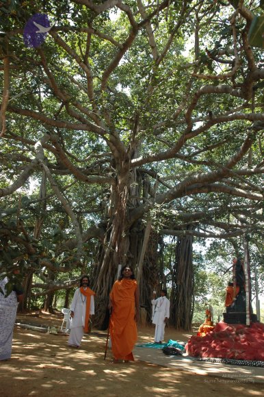 20061019_Photo_1571_DSC_5483_CMP_WM