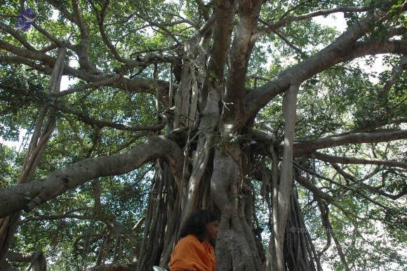 20061019_Photo_1581_DSC_5435_CMP_WM