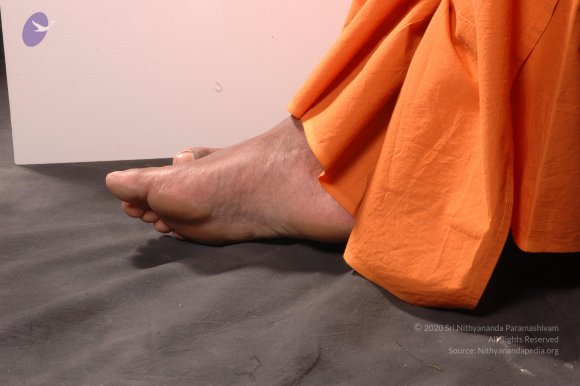 20061019_Photo_1602_DSC_6416_CMP_WM