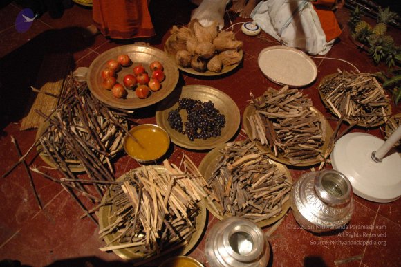 20061021_Photo_1064_DSC_8730_CMP_WM