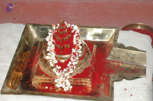 20061021_Photo_1174_DSC_8857_CMP_WM