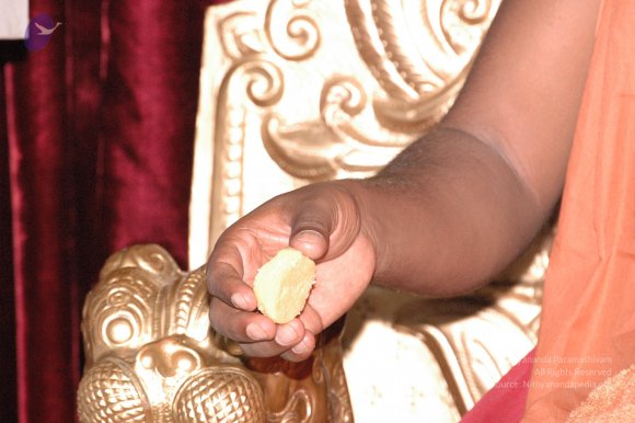 20061021_Photo_1143_DSC_7278_CMP_WM