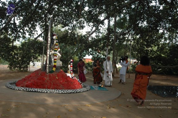 20061021_Photo_1019_DSC_8140_CMP_WM