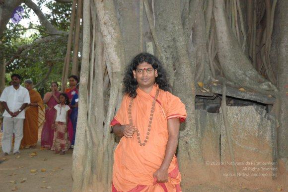 20061021_Photo_1031_DSC_8139_CMP_WM