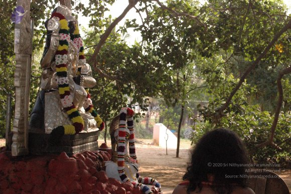 20061021_Photo_1009_DSC_7159_CMP_WM