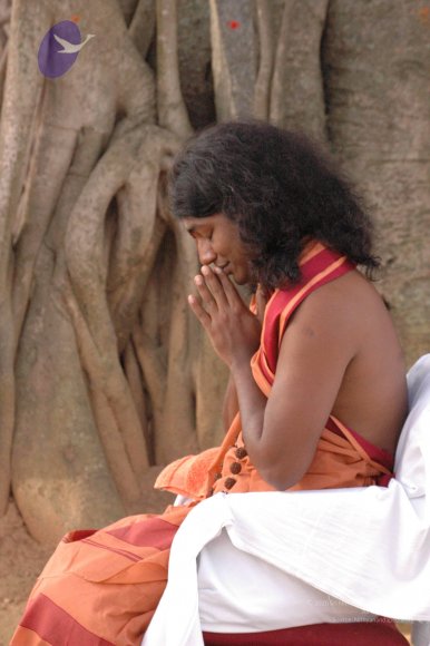 20061021_Photo_1013_DSC_7163_CMP_WM