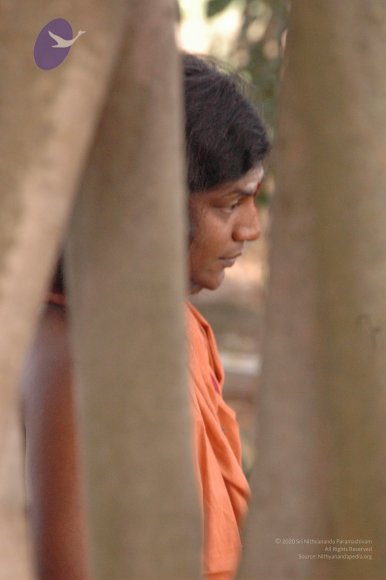 20061021_Photo_1014_DSC_7154_CMP_WM