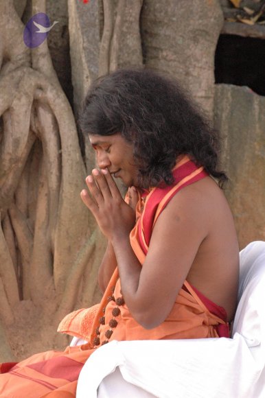 20061021_Photo_1015_DSC_7164_CMP_WM