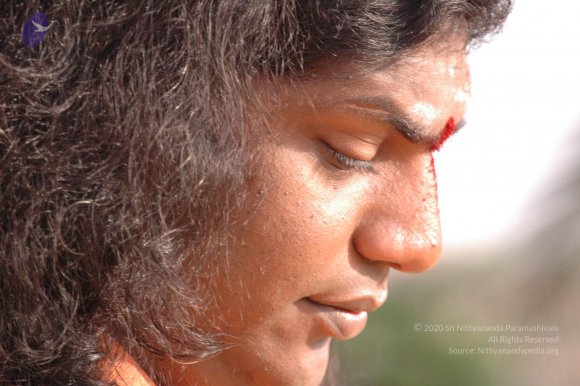 20061021_Photo_1023_DSC_7205_CMP_WM