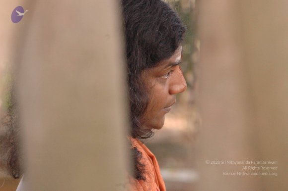 20061021_Photo_1029_DSC_7156_CMP_WM