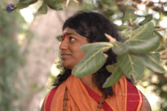 20061021_Photo_1030_DSC_7182_CMP_WM