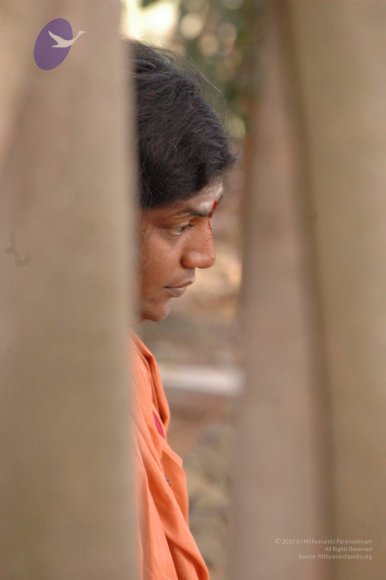 20061021_Photo_1039_DSC_7155_CMP_WM