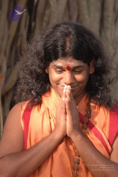 20061021_Photo_1044_DSC_7176_CMP_WM