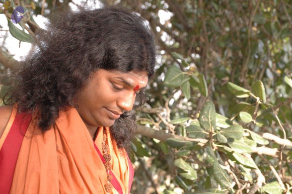 20061021_Photo_1056_DSC_7186_CMP_WM