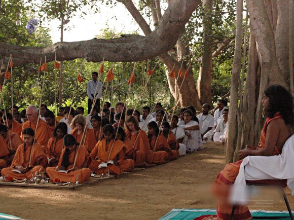 DSC_7161_CMP_WM_batch