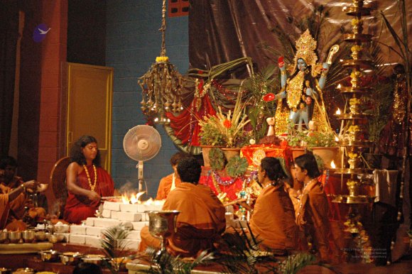 DSC_8846_CMP_WM_batch