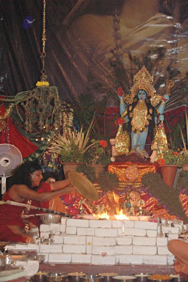 DSC_8882_CMP_WM_batch