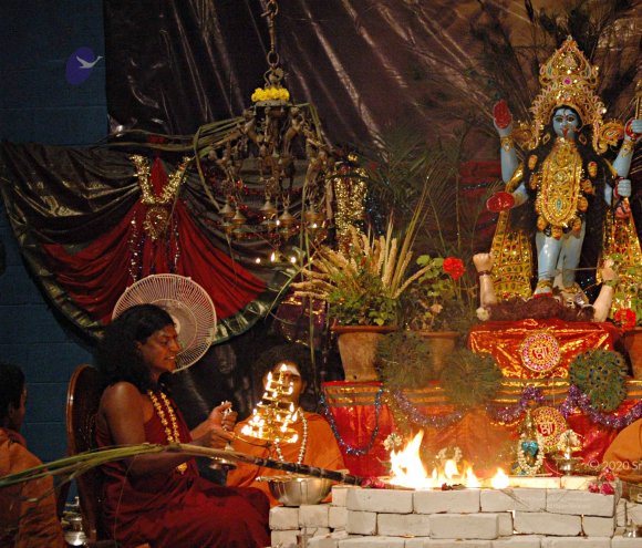 DSC_8886_CMP_WM_batch