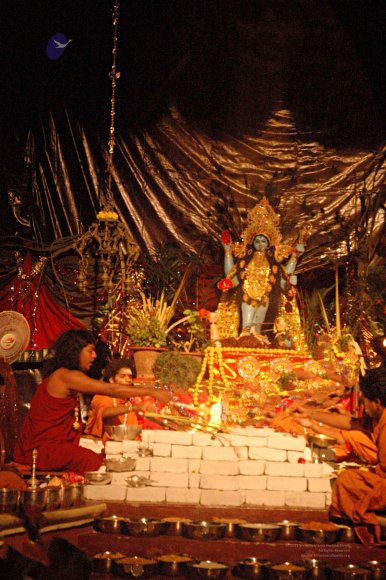 DSC_9035_CMP_WM_batch