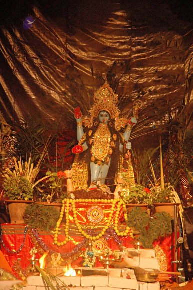 DSC_9067_CMP_WM_batch