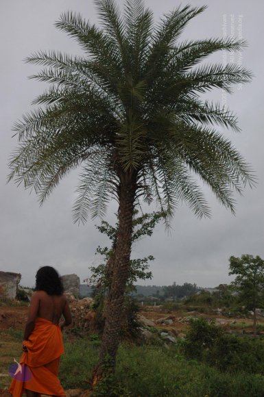 20060921_Photo_1157_DSC_0062_CMP_WM