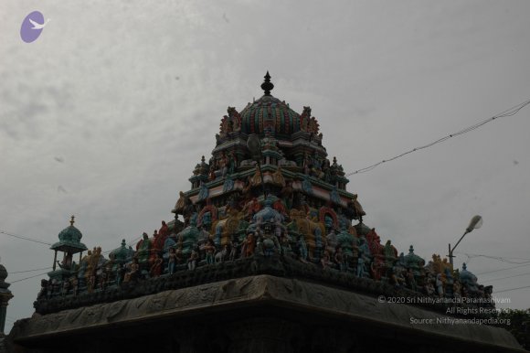 DSC_2119_CMP_WM