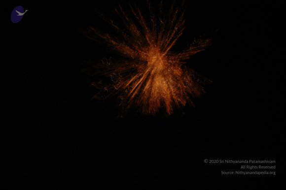 DSC_3000_CMP_WM