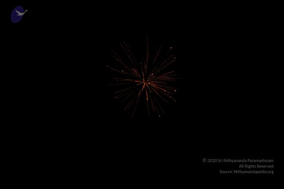 DSC_3005_CMP_WM