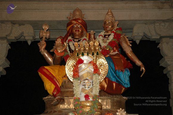 20070421_Photo_1016_DSC_1429_CMP_WM