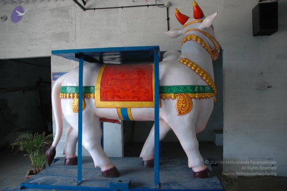 20070421_Photo_1007_DSC_1712_CMP_WM