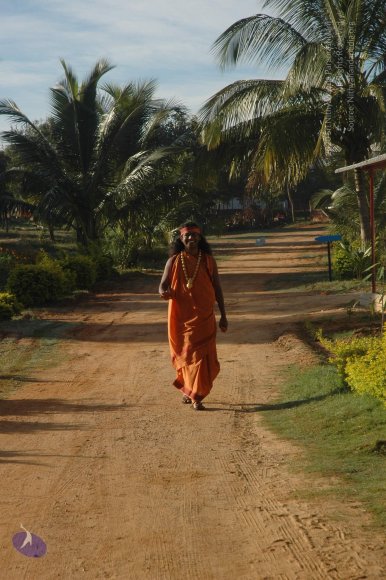 02-BRAHMOTSAVAM-DAY-4_Photo_1016_DSC_2360_CMP_WM