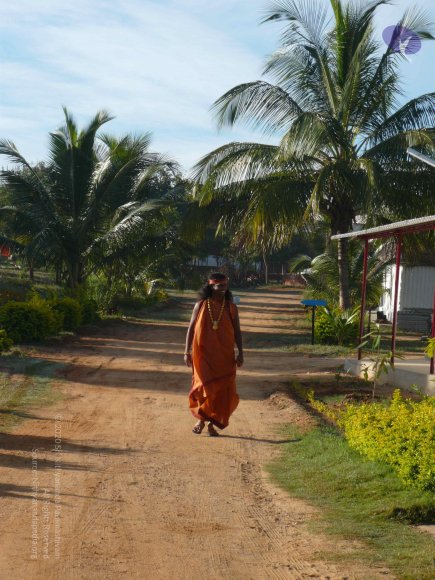 02-BRAHMOTSAVAM-DAY-4_Photo_1171_P1000861_CMP_WM
