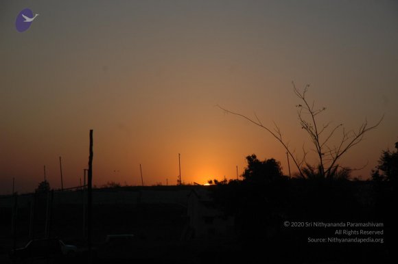 20070215_Photo_1619_DSC_7453_CMP_WM