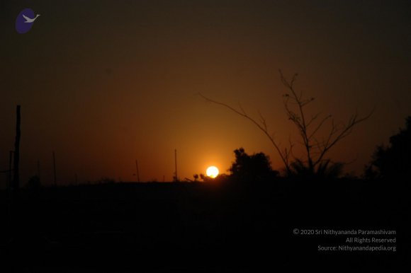 20070215_Photo_1876_DSC_7466_CMP_WM