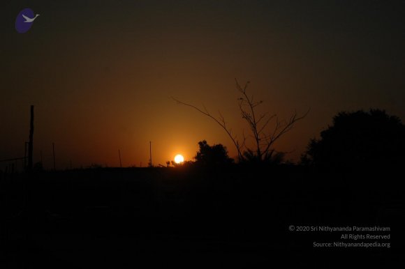 20070215_Photo_1264_DSC_7467_CMP_WM