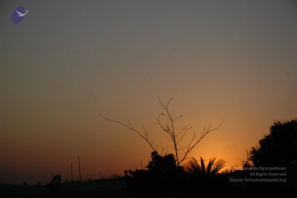 20070215_Photo_1464_DSC_7455_CMP_WM