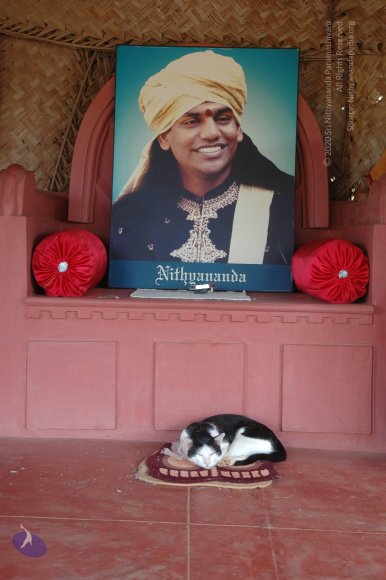 20070701_Photo_3_1CbZqHeSjIGIYDlpa4brMY2b6A4SmsthA