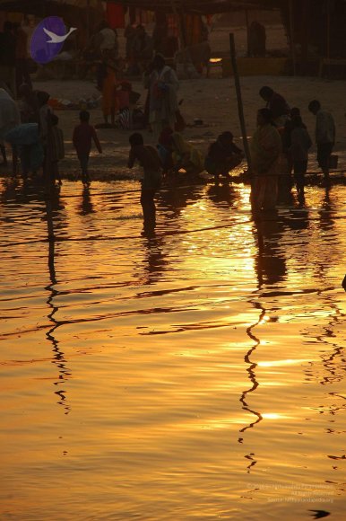 india-Ashram-Dic.30-31-1 -.05-06 124_CMP_WM