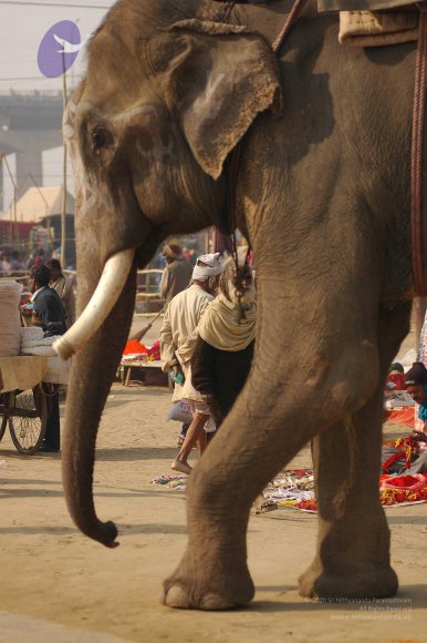 india-Ashram-Dic.30-31-1 -.05-06 186_CMP_WM