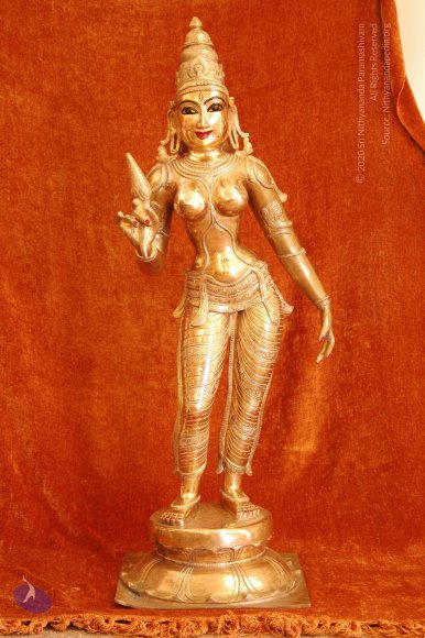 DeitiesSept2007 081_CMP_WM