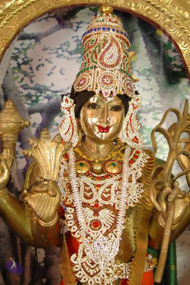 DeitiesSept2007 385_CMP_WM