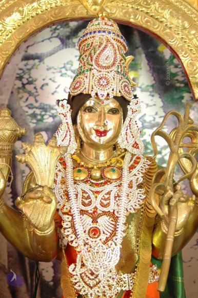 DeitiesSept2007 405_CMP_WM