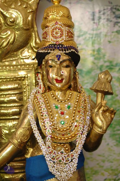 DeitiesSept2007 427_CMP_WM