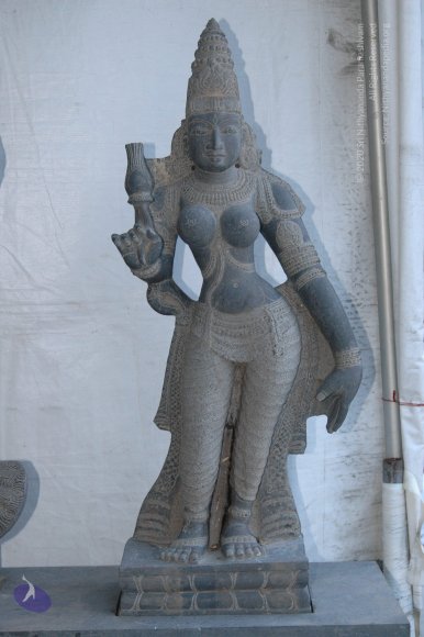 deitiesSept2007 338_CMP_WM