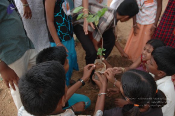 20070504_Photo_1141_DSC_5328_CMP_WM