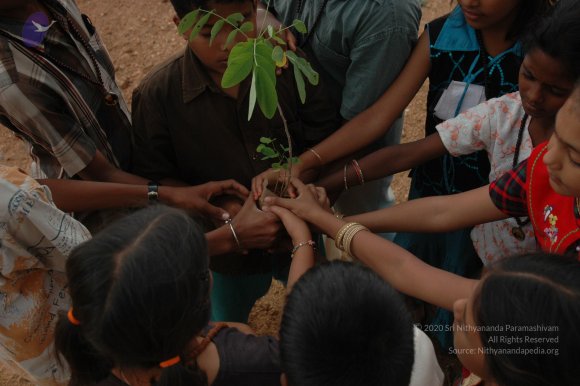 20070504_Photo_1261_DSC_5323_CMP_WM