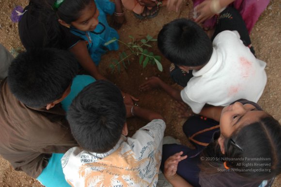 20070504_Photo_1429_DSC_5330_CMP_WM