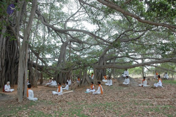 20070504_Photo_1046_DSC_5693_CMP_WM