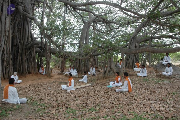 20070504_Photo_1048_DSC_5694_CMP_WM