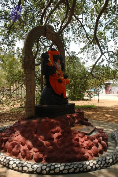 20070504_Photo_1002_DSC_4932_CMP_WM